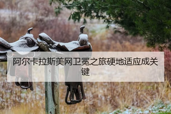 a-er-ka-la-si-mei-wang-wei-mian-zhi-lv-ying-di-shi-ying-cheng-guan-jian-2-654.jpg