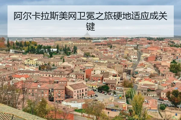 a-er-ka-la-si-mei-wang-wei-mian-zhi-lv-ying-di-shi-ying-cheng-guan-jian-3-976.jpg