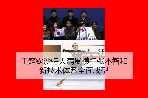 wang-chu-qin-sha-te-da-man-guan-heng-sao-zhang-ben-zhi-he-xin-ji-shu-ti-xi-quan-mian-cheng-xing-2-989.jpg