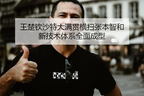 wang-chu-qin-sha-te-da-man-guan-heng-sao-zhang-ben-zhi-he-xin-ji-shu-ti-xi-quan-mian-cheng-xing-3-549.jpg