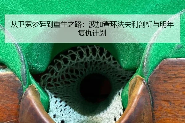 cong-wei-mian-meng-sui-dao-chong-sheng-zhi-lu-bo-jia-cha-huan-fa-shi-li-pou-xi-yu-ming-nian-fu-chou-ji-hua-3-366.jpg