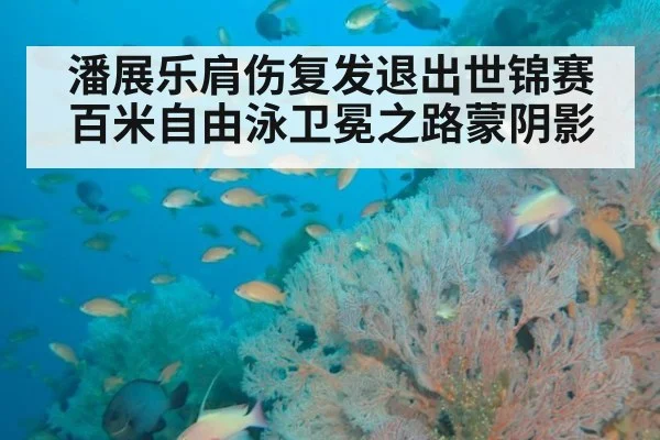 潘展乐肩伤复发退出世锦赛百米自由泳卫冕之路蒙阴影
